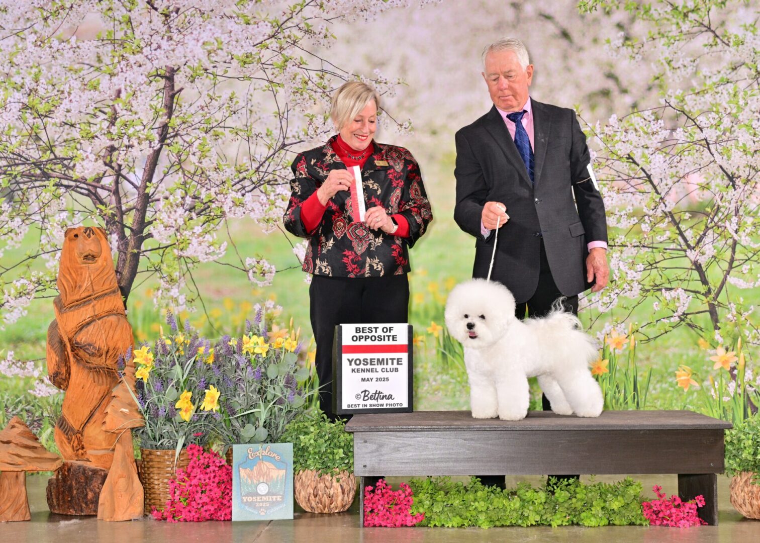 BEST OF OPPOSITE SEX YOSEMITE KENNEL CLUB -2025