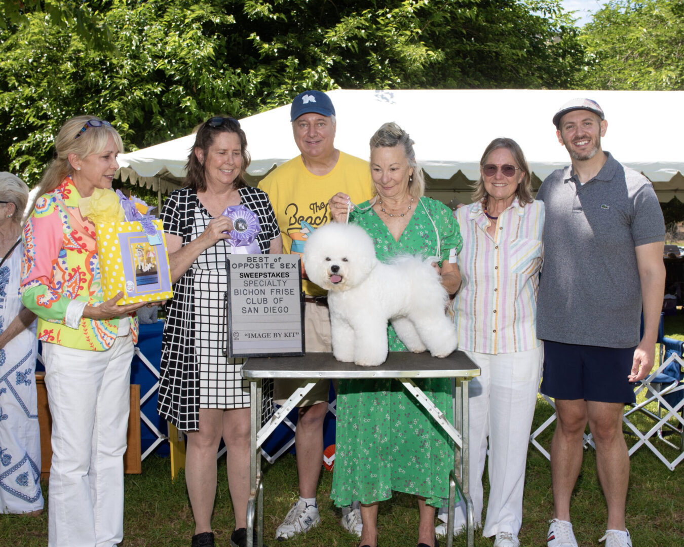 Best of Opposite Sex at the Bahia Sur Kennel Club & the Bichon Frise Club of San Diego 66th Specialty