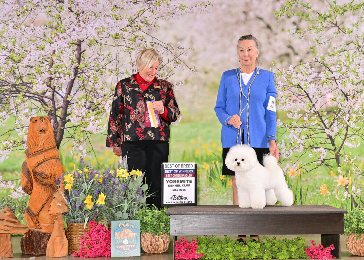 BEST OF BREED - YOSEMITE KENNEL CLUB - 2025