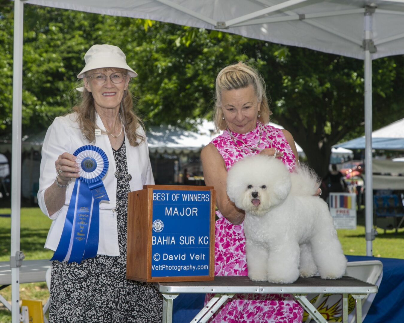 BEST OF WINNERS - BAHIA SUR KENNEL CLUB - 2025