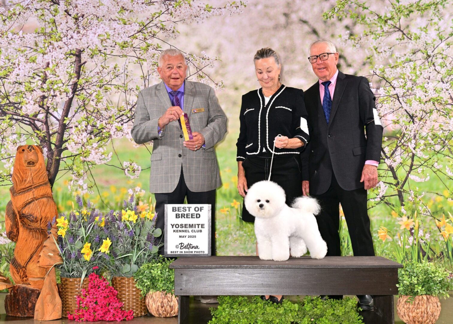 BEST OF BREED - YOSEMITE KENNEL CLUB 2025